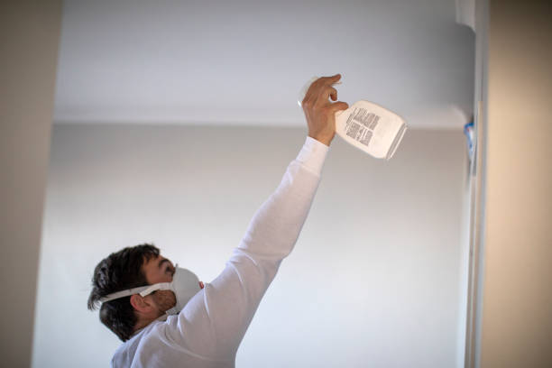 Best Attic Mold Removal  in Middletown, CA