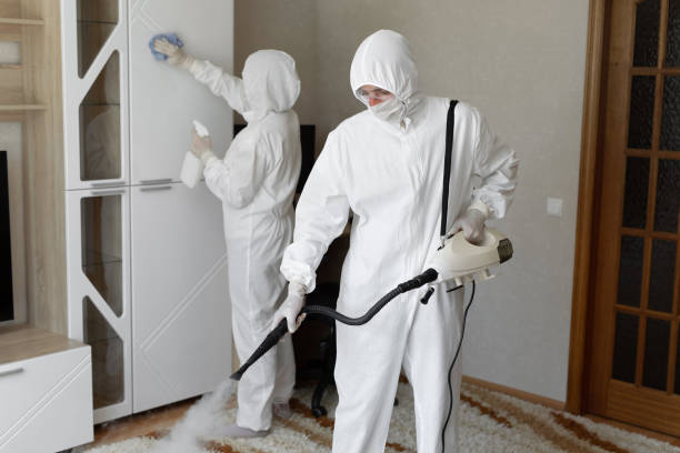 Best Toxic Mold Removal  in Middletown, CA