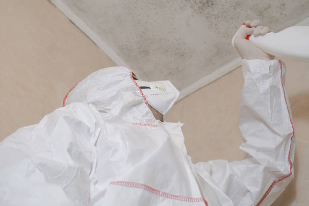Attic Mold Removal in Middletown, CA