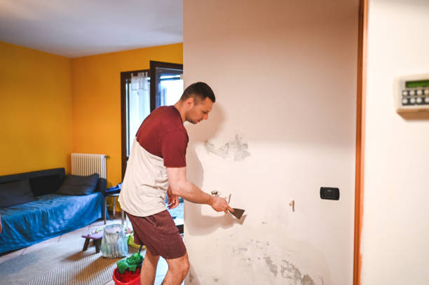 Best Professional Mold Removal  in Middletown, CA