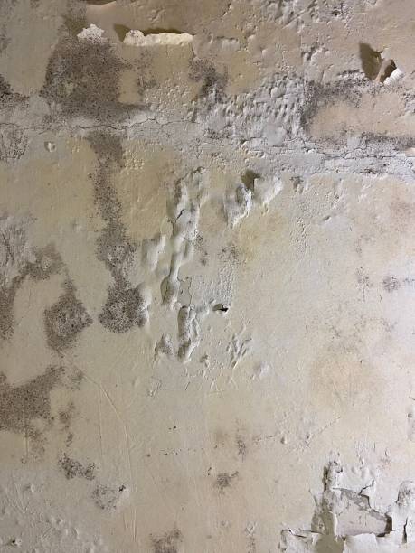 Best Water Damage Restoration  in Middletown, CA
