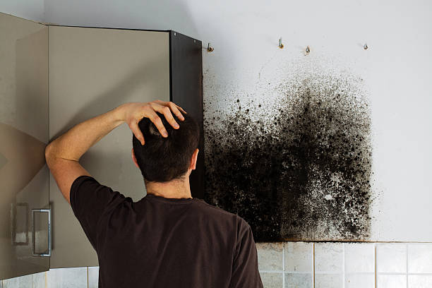 Best Crawl Space Mold Removal  in Middletown, CA