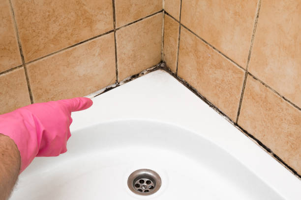 Best Local Mold Removal Service  in Middletown, CA